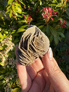 Large Desert Rose Gypsum Specimen