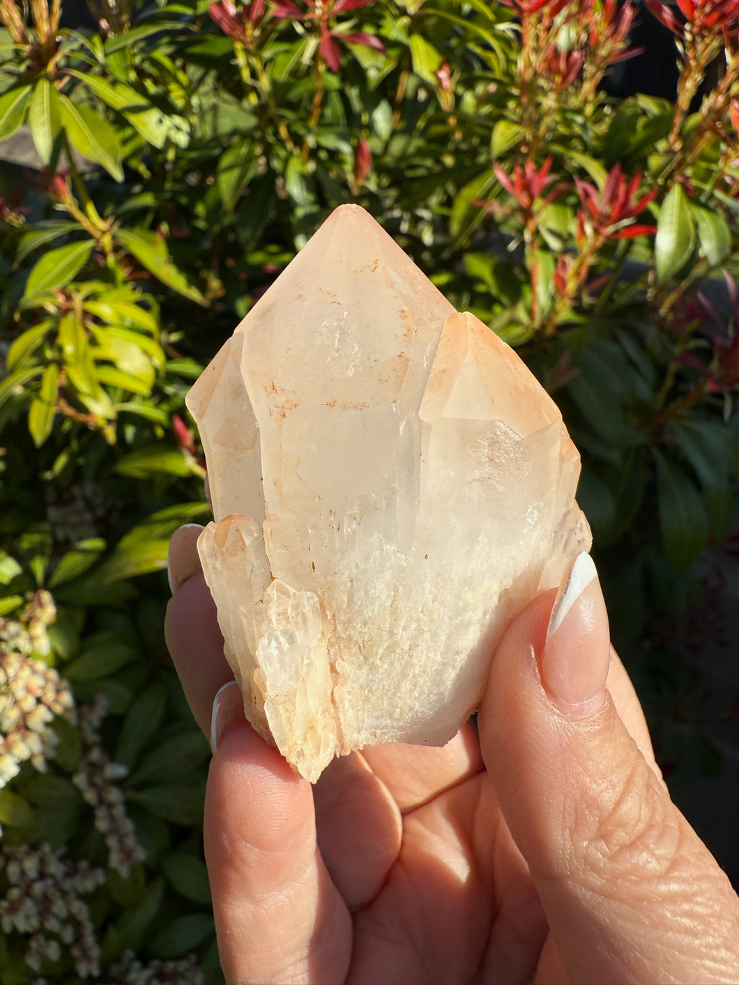 Hematite Pineapple Quartz Specimen