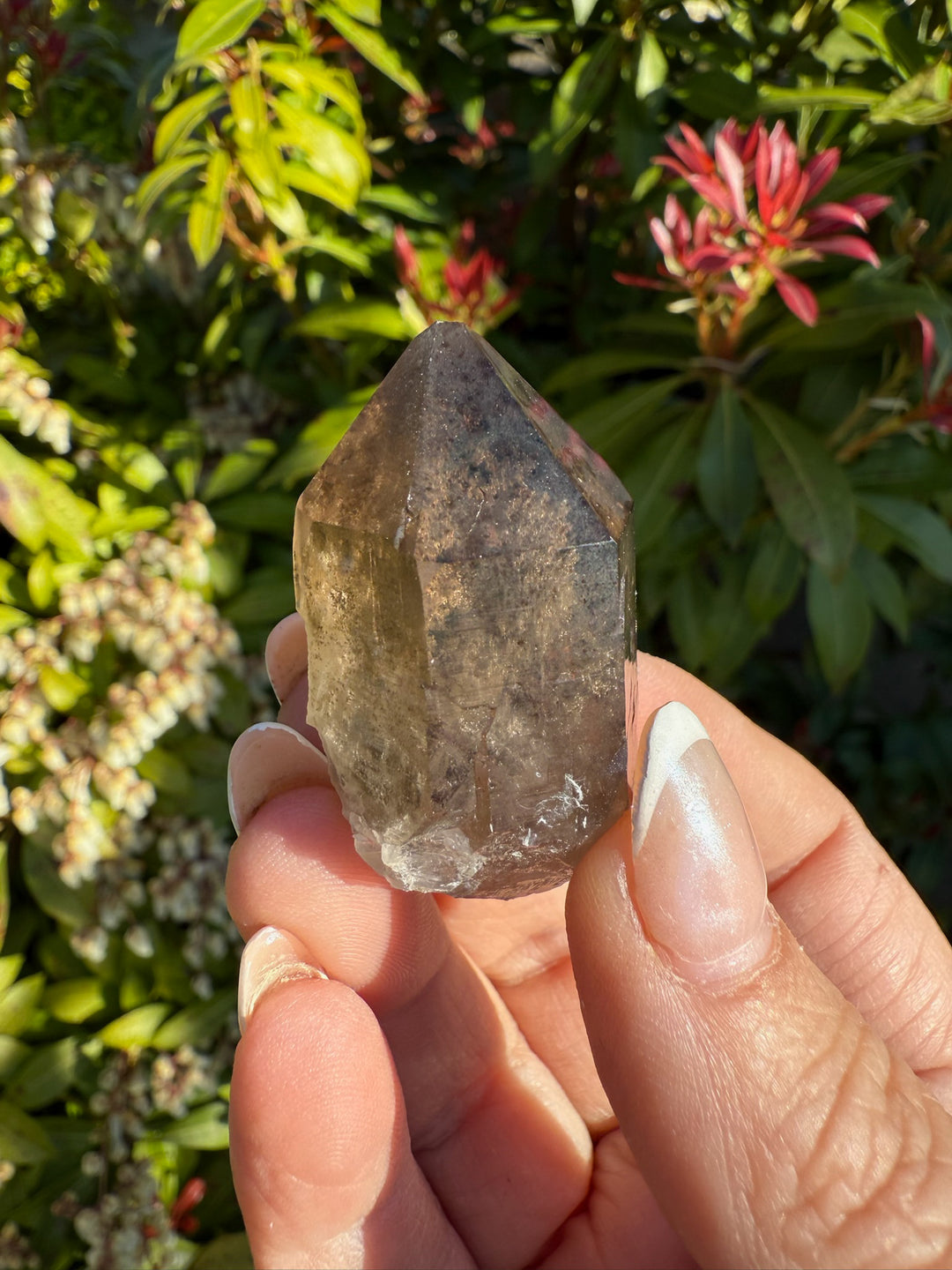 Smoky Quartz Specimen and Elestial from Mount Blanc Switzerland