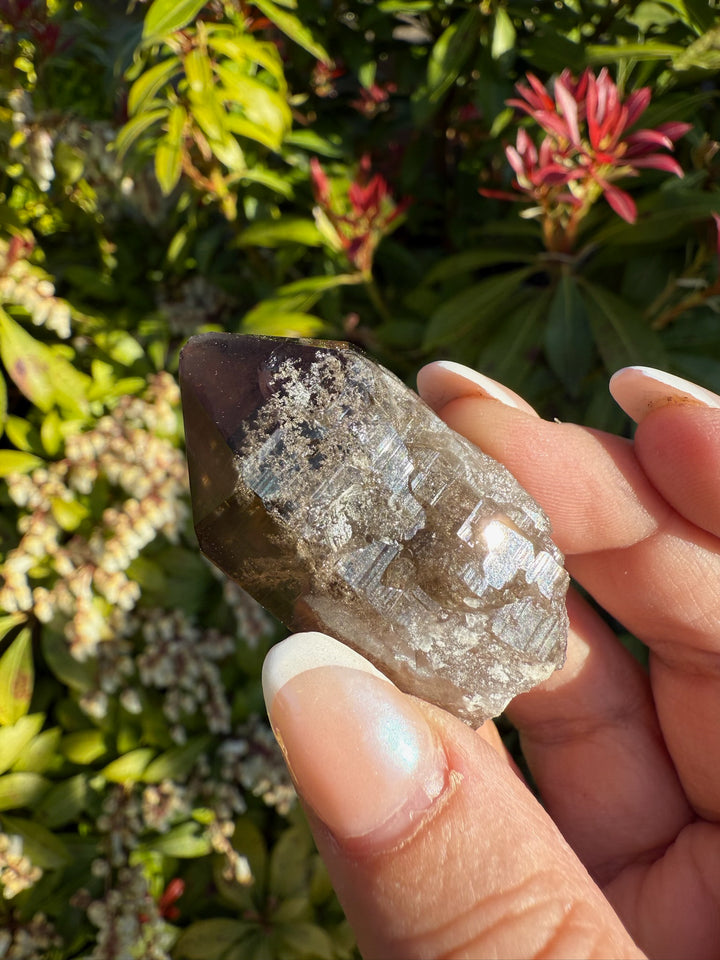 Smoky Quartz Specimen and Elestial from Mount Blanc Switzerland