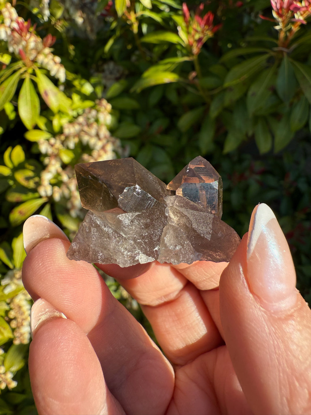 Smoky Quartz Specimen from Mount Blanc Switzerland