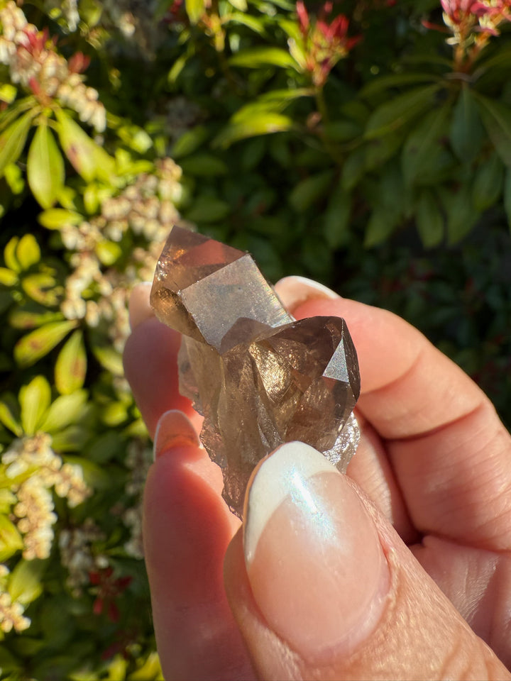 Smoky Quartz Specimen from Mount Blanc Switzerland
