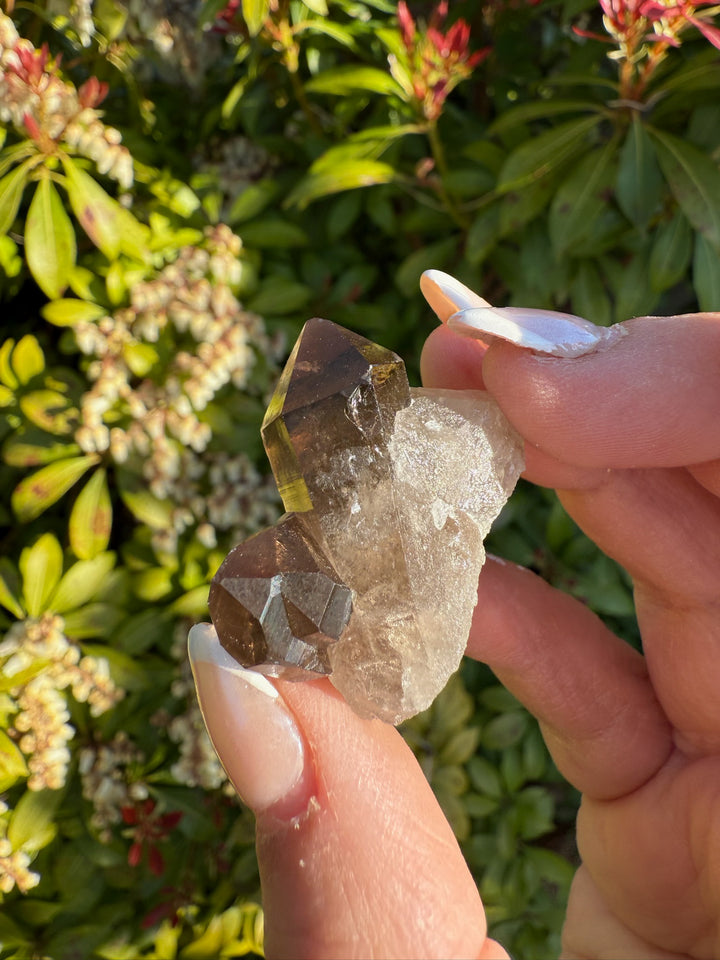 Smoky Quartz Specimen from Mount Blanc Switzerland
