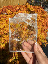 Load image into Gallery viewer, Clear Selenite Slice Specimen
