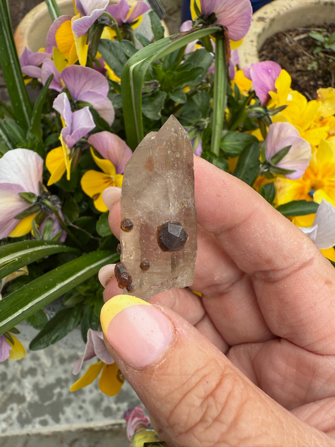 Garnet in and on Quartz Specimen from Tongbei
