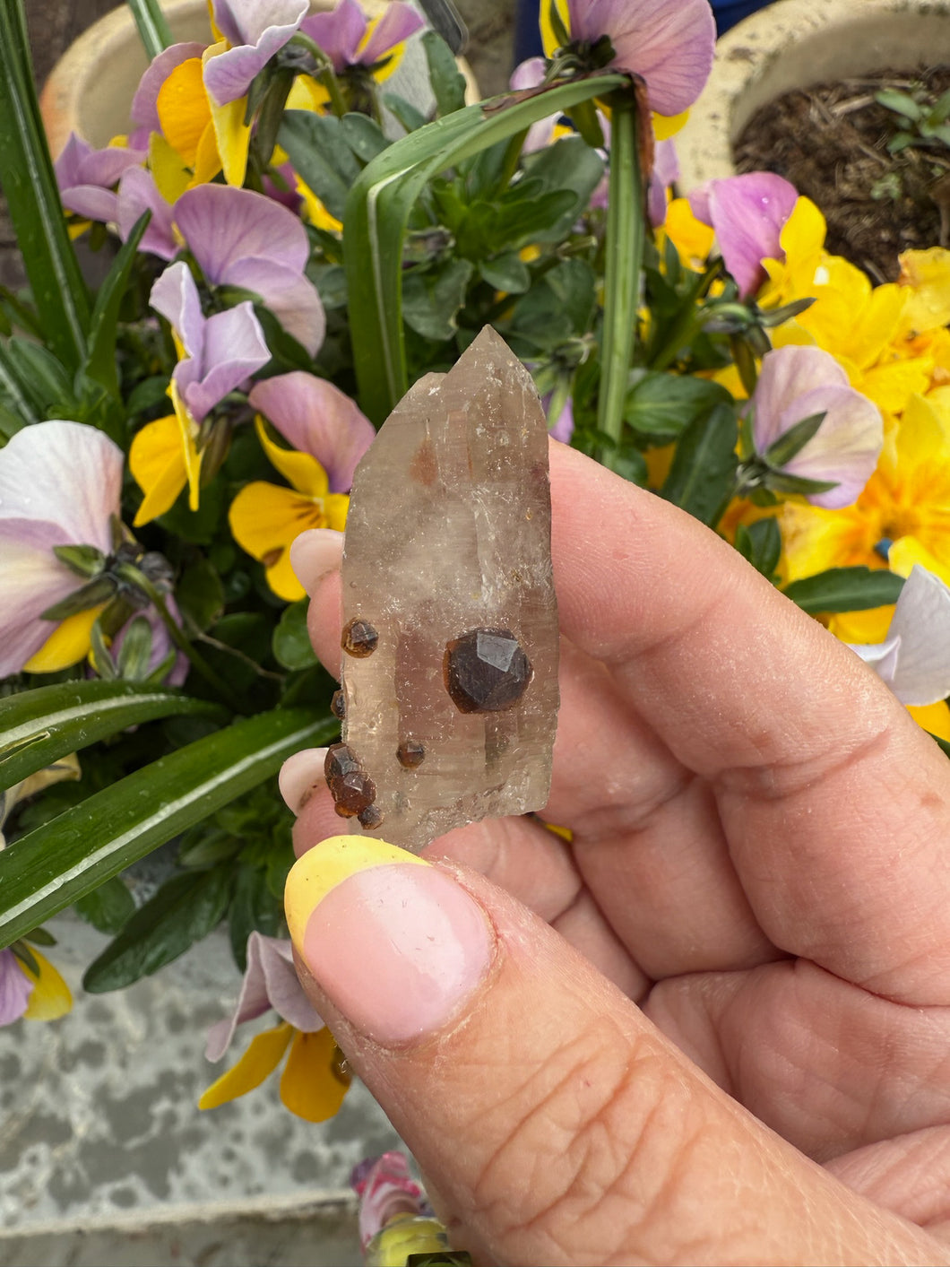 Garnet in and on Quartz Specimen from Tongbei