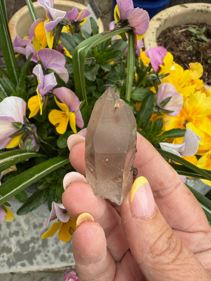 Garnet in and on Quartz Specimen from Tongbei