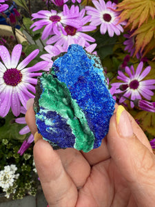 Vibrant Azurite Malachite and Gibbsite Specimen