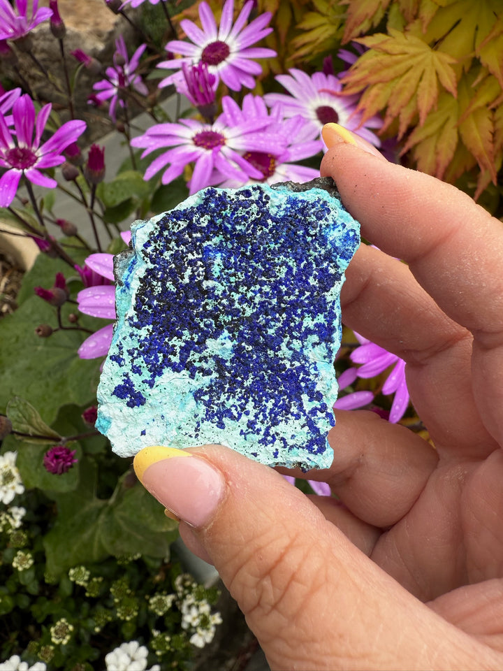 Vibrant Azurite and Gibbsite Specimen