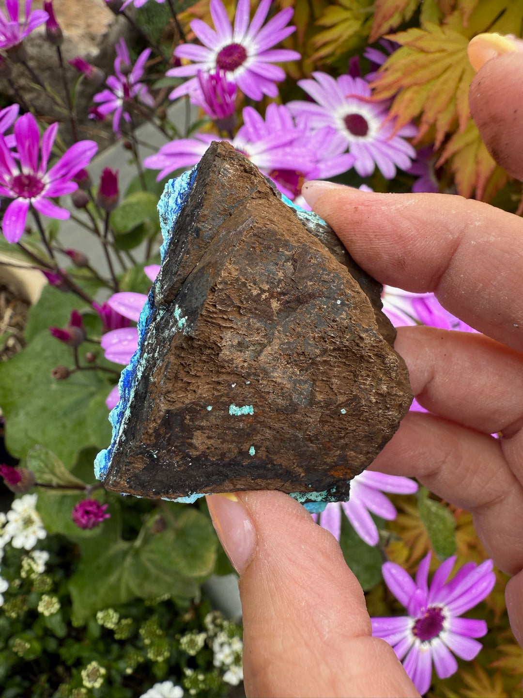Vibrant Azurite and Gibbsite Specimen