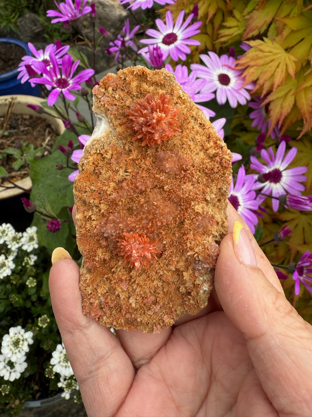 Red Calcite Specimen from Wenshan