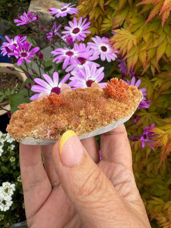 Red Calcite Specimen from Wenshan