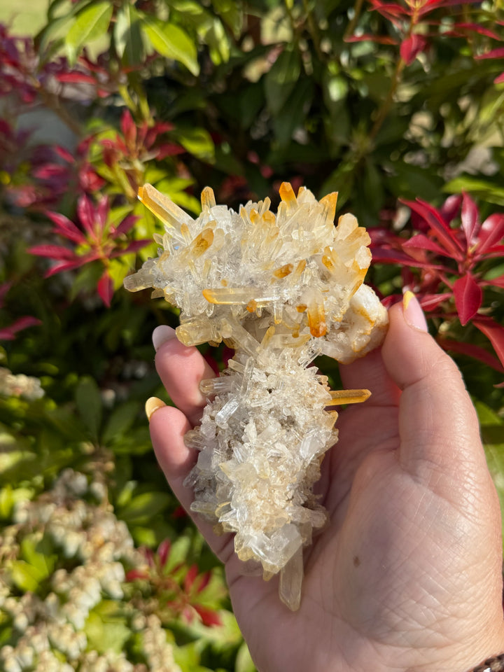 High Quality Golden Healer Quartz Specimen from Sichuan