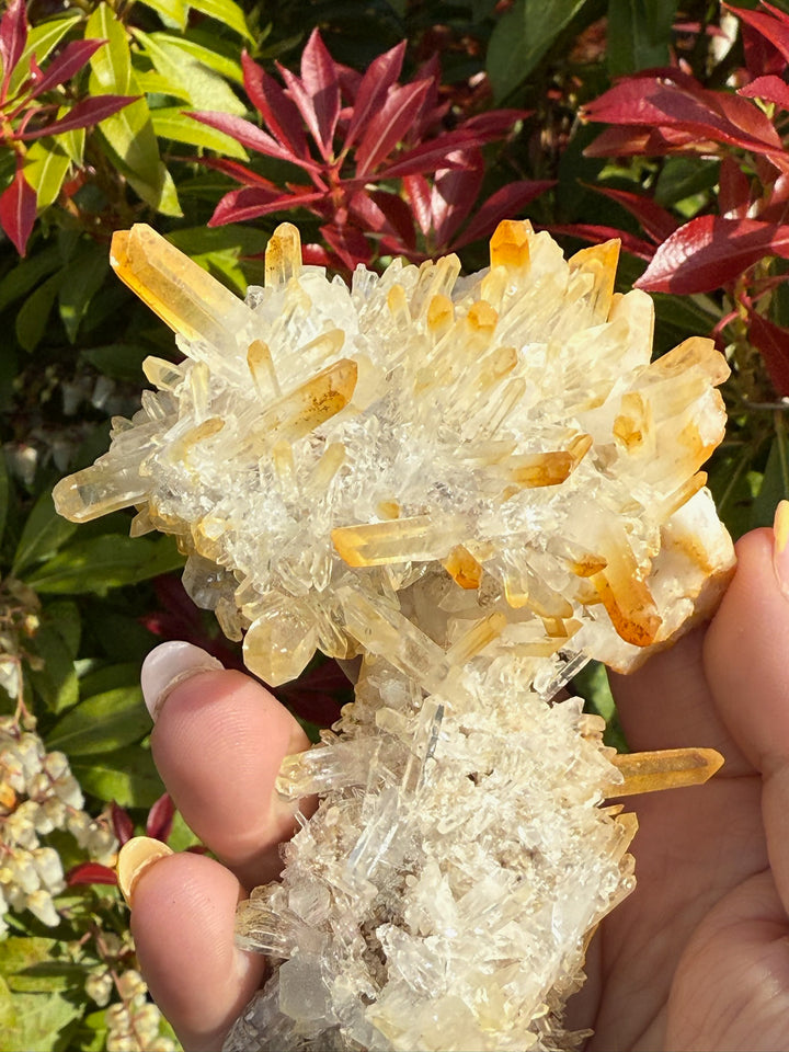 High Quality Golden Healer Quartz Specimen from Sichuan