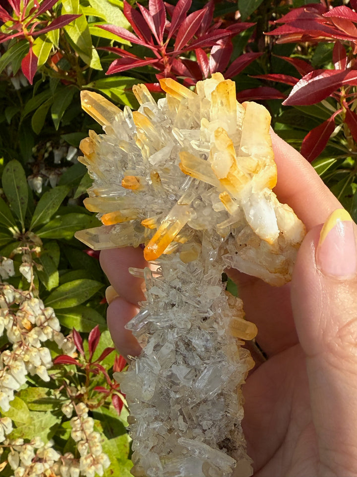 High Quality Golden Healer Quartz Specimen from Sichuan