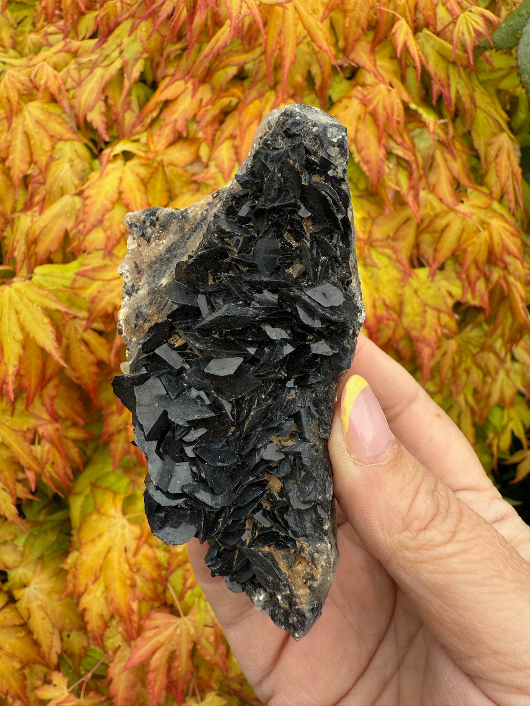 Unusual Black Tourmaline Specimen