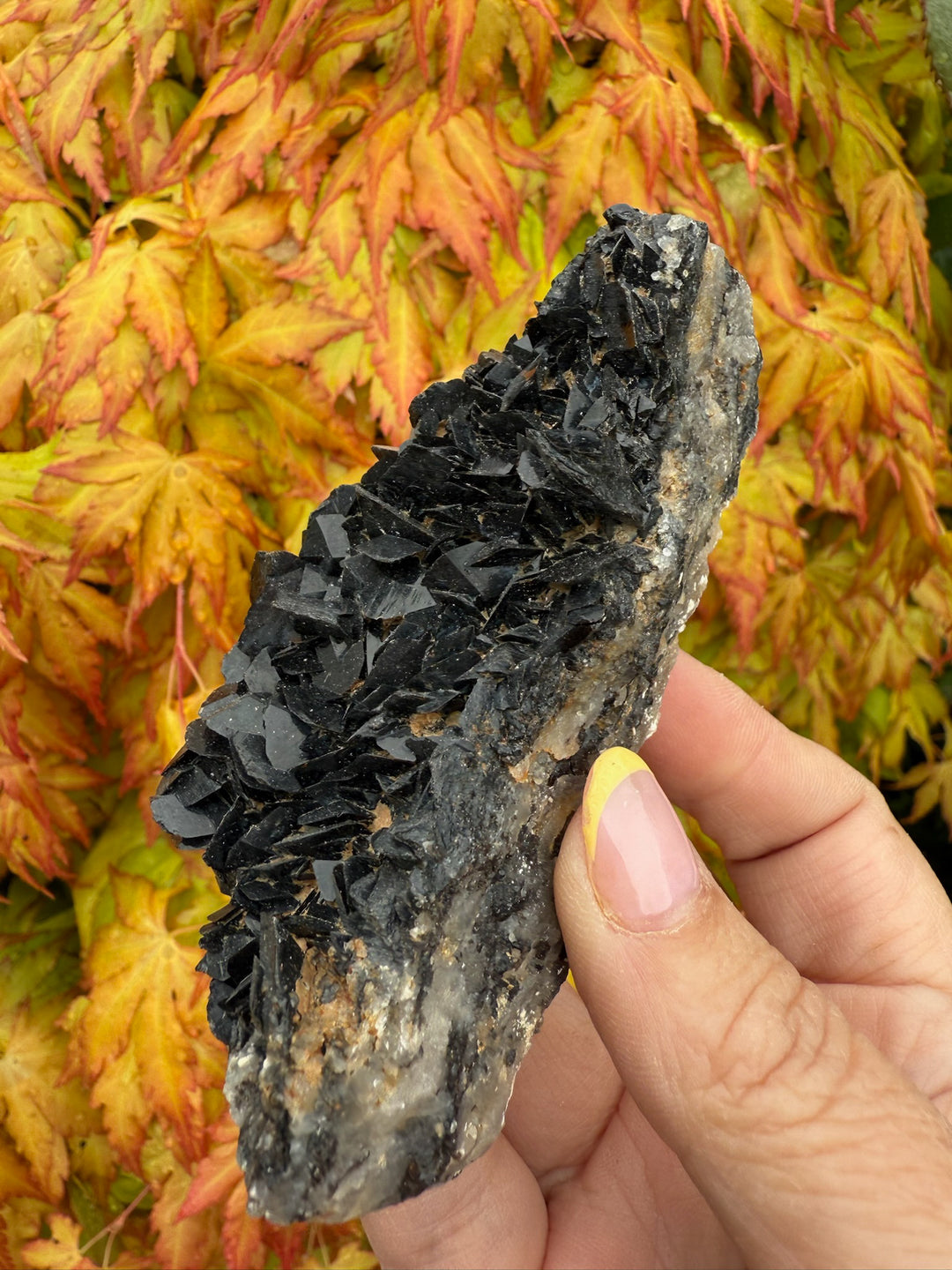 Unusual Black Tourmaline Specimen