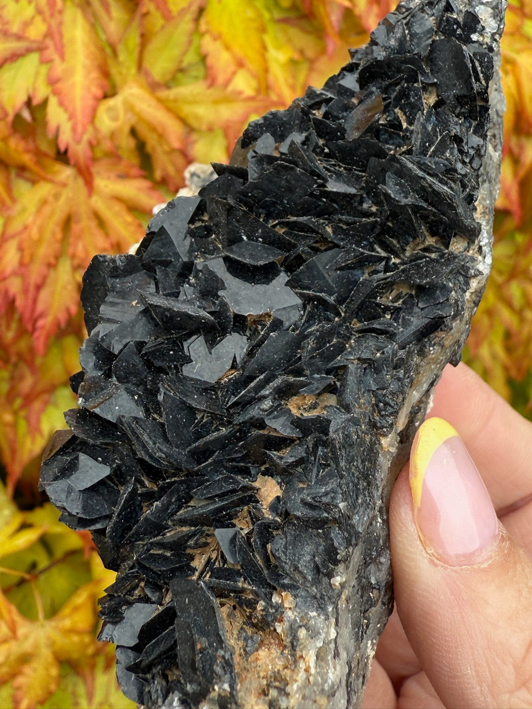 Unusual Black Tourmaline Specimen