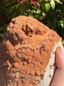 Amazing Wenshan Calcite Geode Specimen