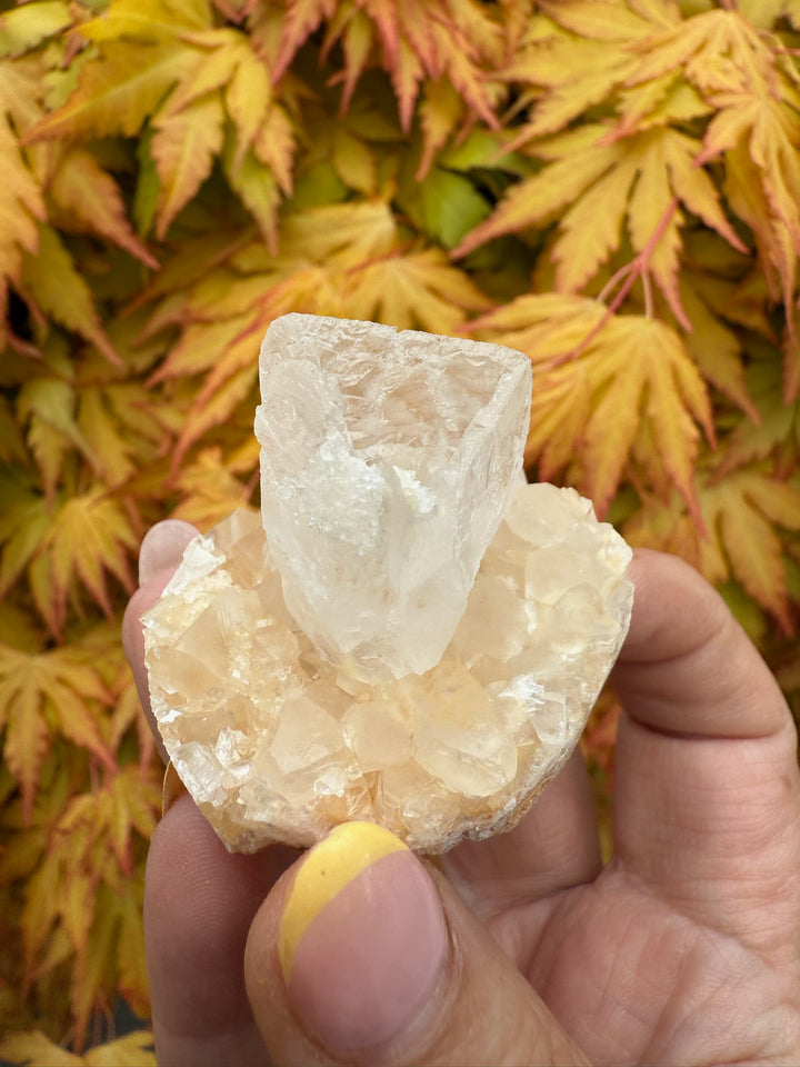 Unusual Shape Natural Clear and Honey Calcite Specimen