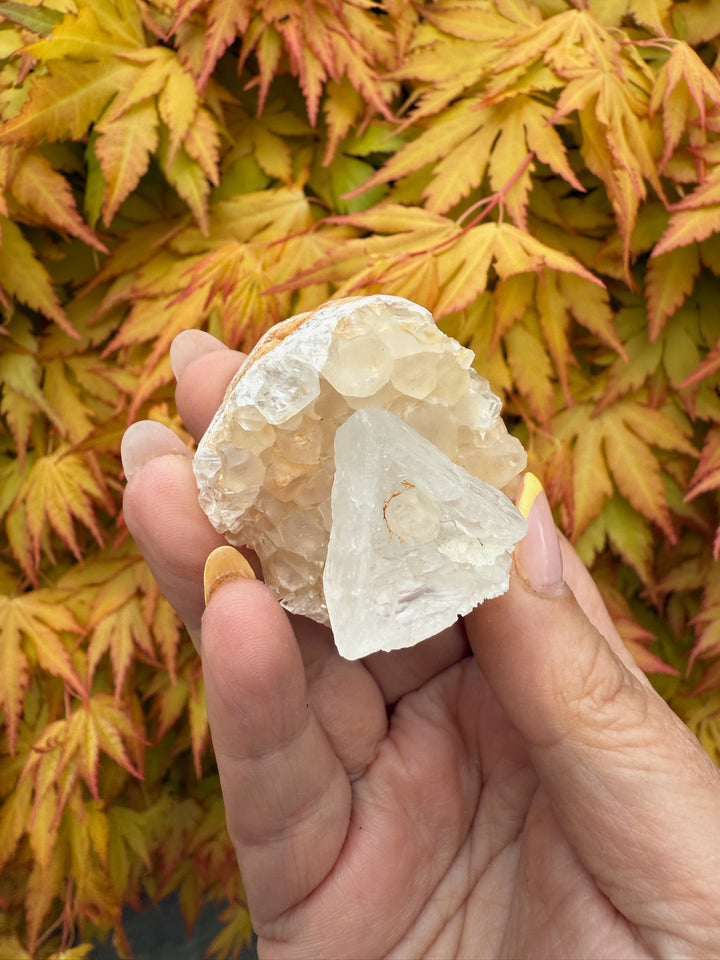 Unusual Shape Natural Clear and Honey Calcite Specimen