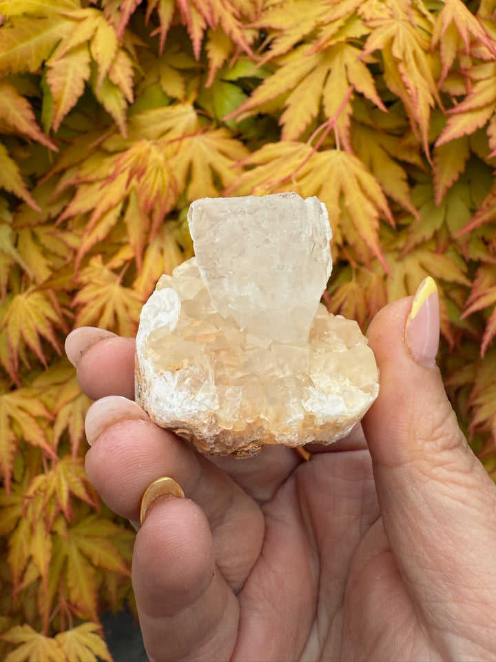 Unusual Shape Natural Clear and Honey Calcite Specimen