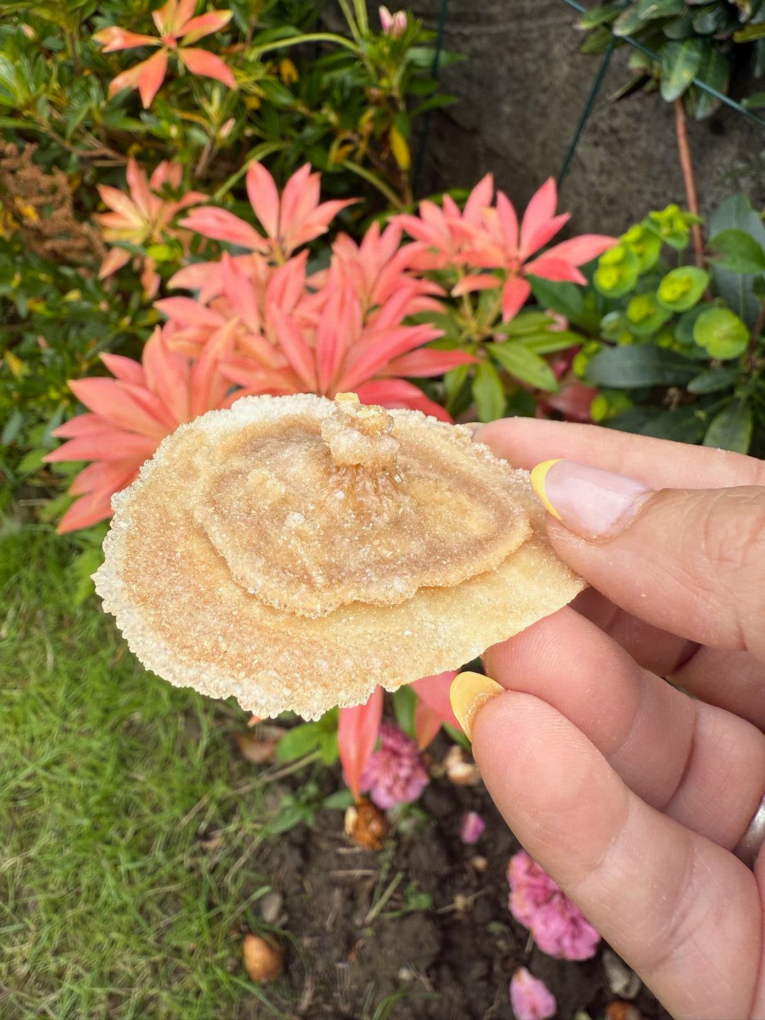 Unusual Formation Calcite with Sugar Coating