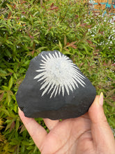 Load image into Gallery viewer, Freestanding Chrysanthemum Stone Specimen
