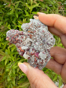 Bornite Specimen with Quartz