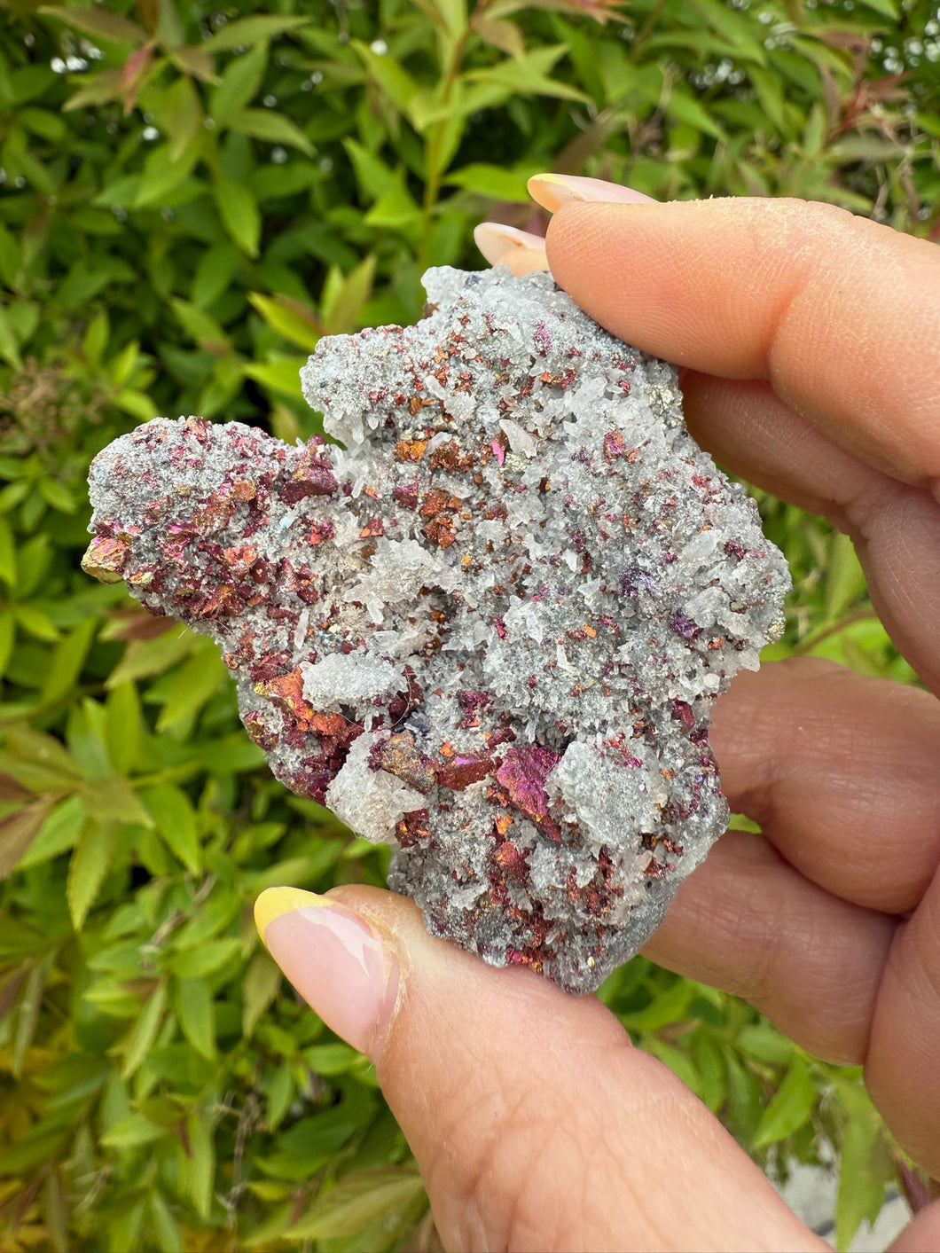 Bornite Specimen with Quartz
