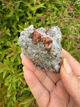 Load image into Gallery viewer, Bornite Specimen with Quartz
