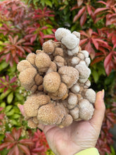 Load image into Gallery viewer, Unusual Formation Bubble Calcite from Wenshan
