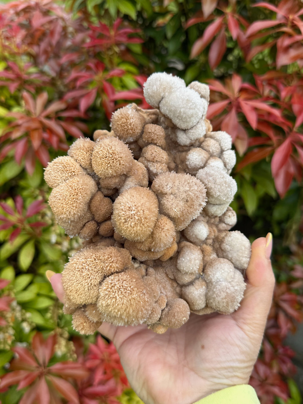 Unusual Formation Bubble Calcite from Wenshan