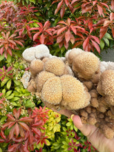Load image into Gallery viewer, Unusual Formation Bubble Calcite from Wenshan
