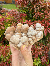 Load image into Gallery viewer, Unusual Formation Bubble Calcite from Wenshan
