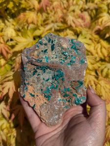 Large Dioptase Specimen