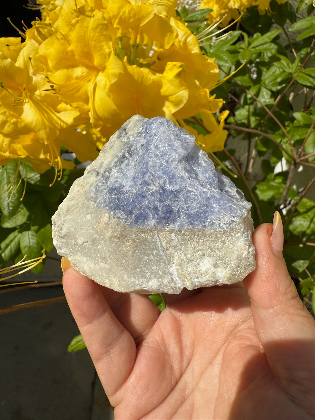 Rare Large UV Reactive Tenebrescent Hackmanite with Sodalite Specimen