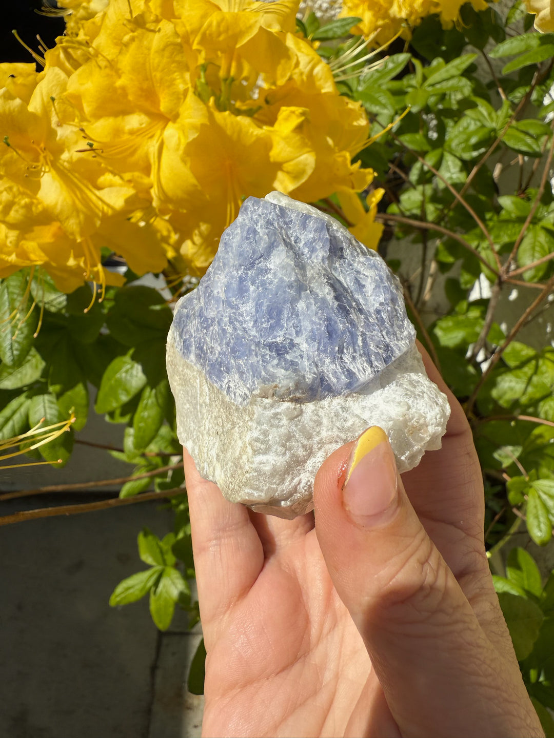 Rare Large UV Reactive Tenebrescent Hackmanite with Sodalite Specimen