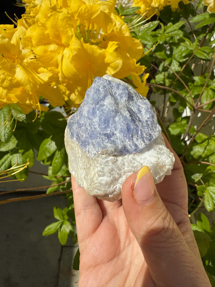 Rare Large UV Reactive Tenebrescent Hackmanite with Sodalite Specimen
