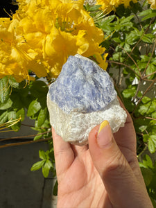 Rare Large UV Reactive Tenebrescent Hackmanite with Sodalite Specimen