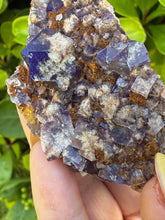 Load image into Gallery viewer, UV Reactive Yum Yum Pocket Fluorite Specimen from UK
