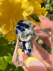 Crystalline Azurite Specimen from Tsumeb