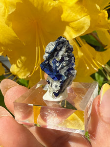 Crystalline Azurite Specimen from Tsumeb
