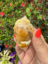 Load image into Gallery viewer, Agateized Cretaceous Physa Princepii (Snail) Specimen

