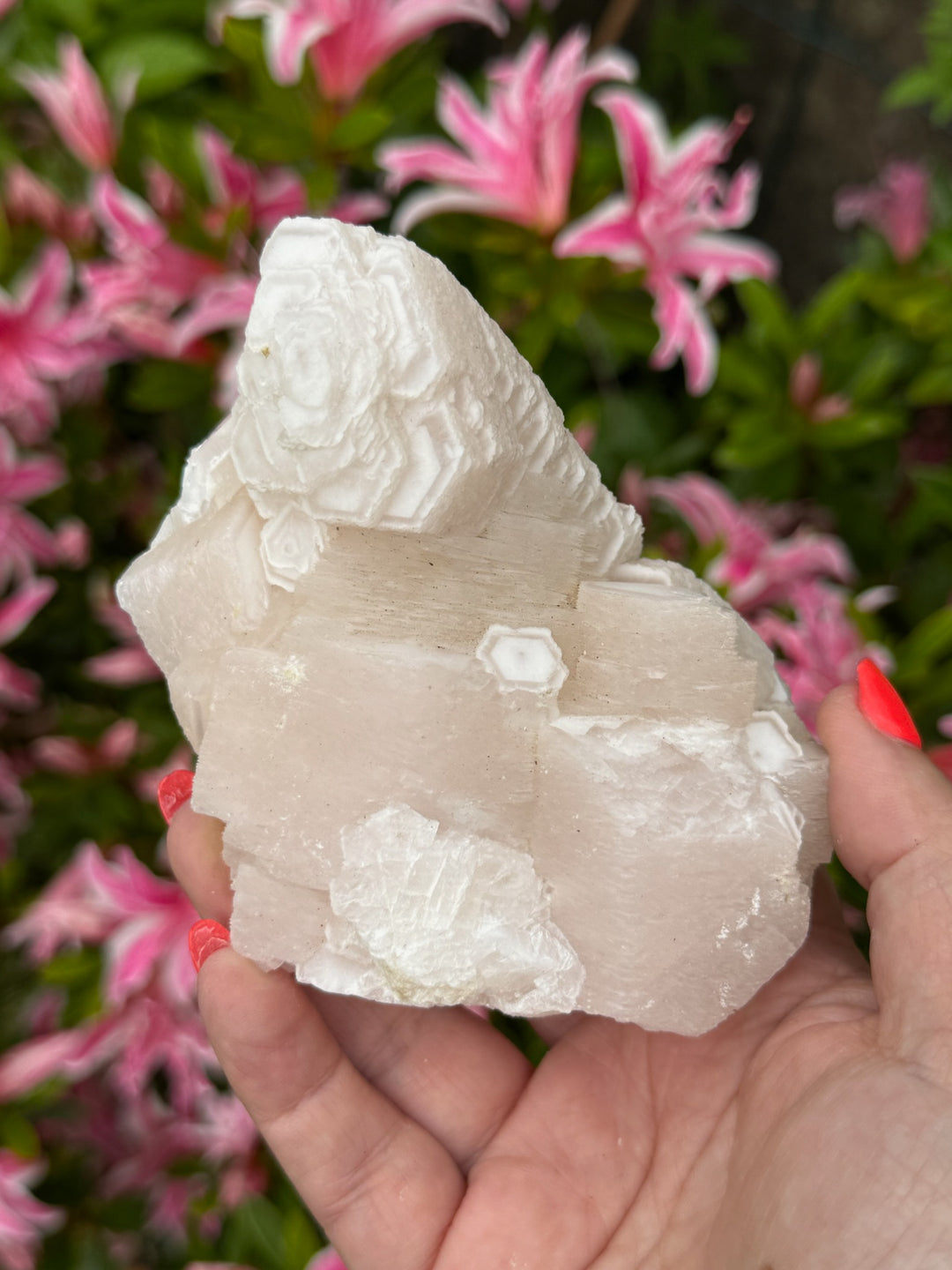UV Reactive Large Pink Calcite Specimen