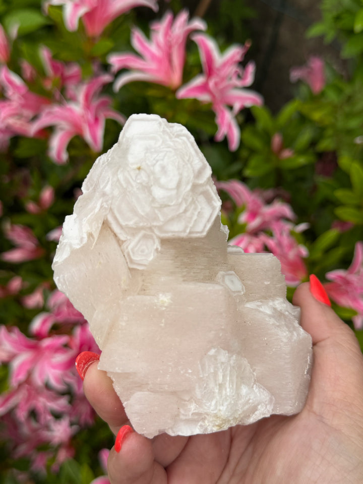 UV Reactive Large Pink Calcite Specimen