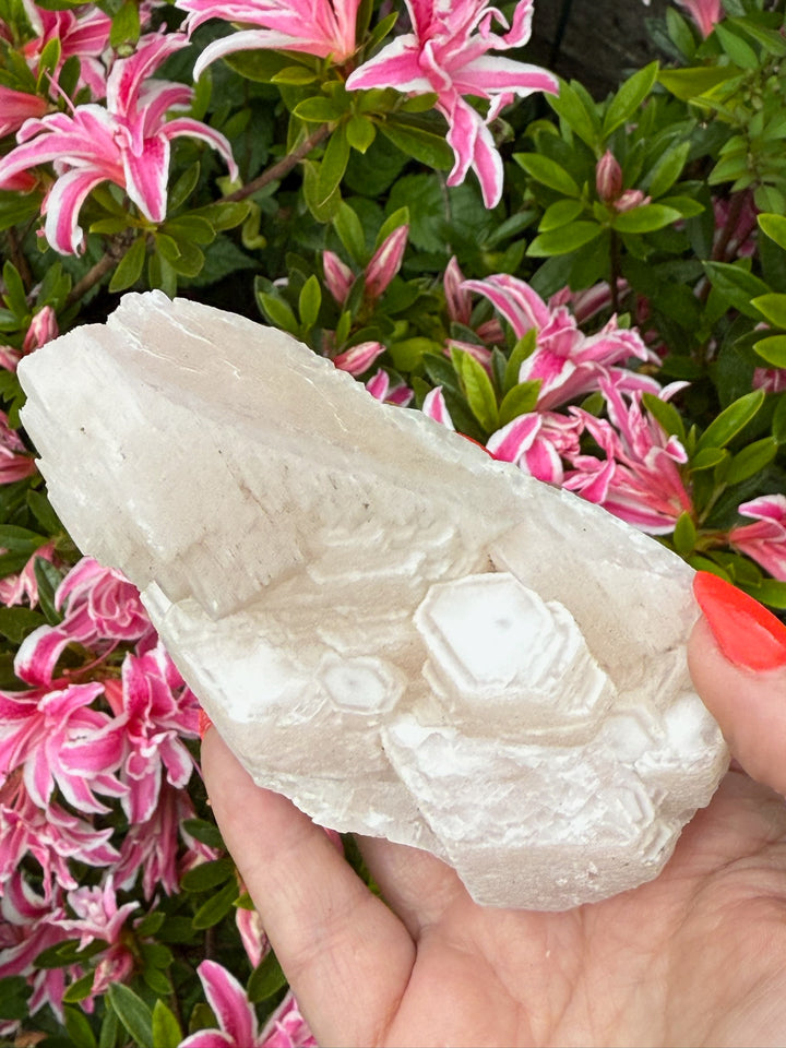 UV Reactive Large Pink Calcite Specimen