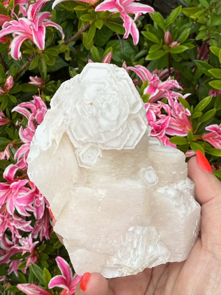 UV Reactive Large Pink Calcite Specimen