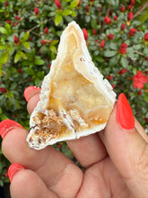 Load image into Gallery viewer, Agate Fossil Coral Specimen From Florida
