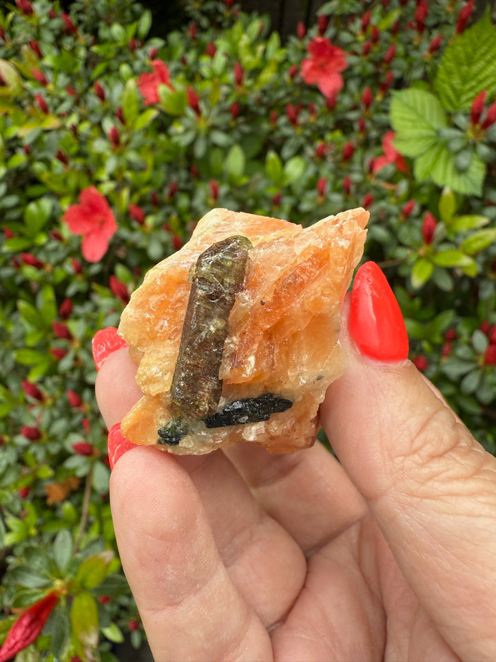 Apatite on Calcite Specimen From Ontario